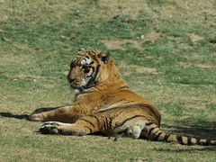 -北京野生动物园