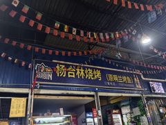 -杨合林啊兰烤鱼