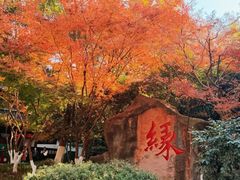 -杭州黄龙洞