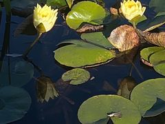 -清溪水库