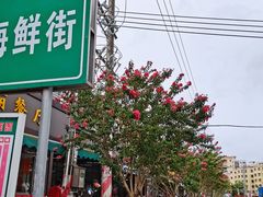 -都斛海鲜街