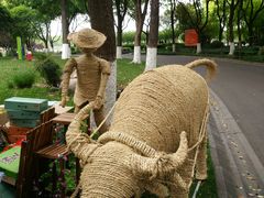 -昆山城市生态森林公园