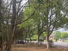 -南京市江宁方山