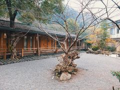 -乐领拈花溪·林涧食韵