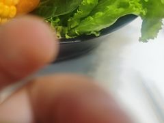 -洪氏嗨捞·猪肚鸡火锅(阳光天地店)