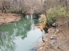 景点-贡湖湾湿地公园