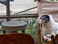 -21G Espresso(吉珠南门店)