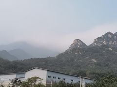 -凤凰小镇·徐州特色菜(凤凰岭店)