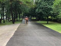 -Club Med地中海俱乐部·桂林度假村