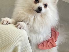 -怪兽屋·羊驼·猫咖·狗咖(俊华广场店)