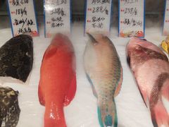 -闽海肴(北辰荟店)