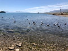 -青海湖国家重点风景名胜区