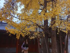 -承恩寺