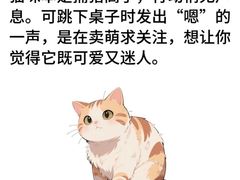 -pd派德宠物中心医院24H急重症·眼科中心·血液透析中心(嵩山北路店)