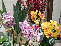 -良友花店(天目山路店)