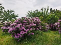 -名花谷生态庄园