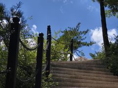 -王顺山国家森林公园