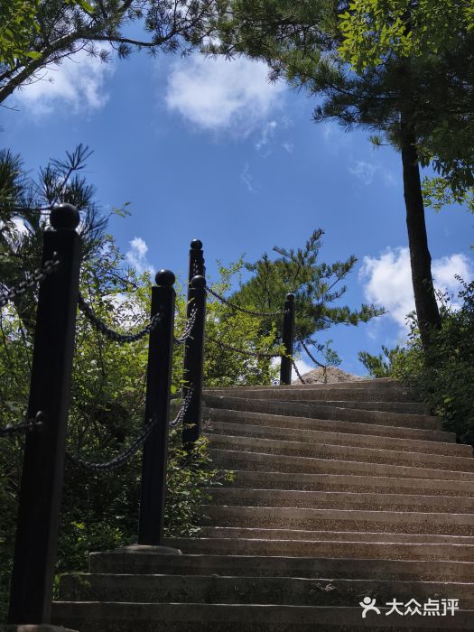 王顺山国家森林公园图片