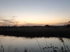 -泗洪洪泽湖湿地景区