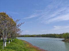 -上海海湾国家森林公园