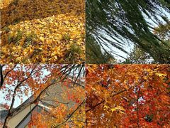 -南京金牛湖风景区