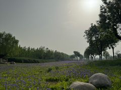 -汉长安城未央宫国家考古遗址公园