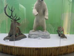 -国家自然博物馆