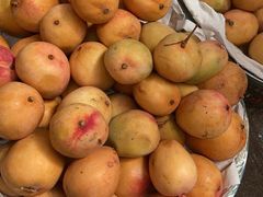 -三亚新鸿港水果一级批发市场