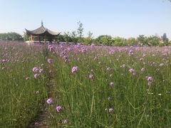 -杭州城北体育公园