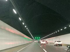 -胶州湾海底隧道