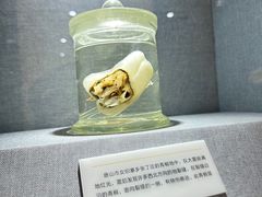 -唐山抗震纪念馆