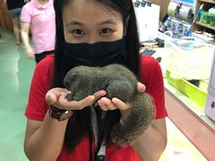 -藦茜花园宠物主题亲子互动体验馆(国顺东路店)