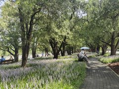 -北京市劳动人民文化宫(太庙)
