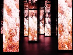 -中国湿地博物馆