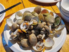 -蓝湾碧波·老字号·疍家非遗海上餐厅