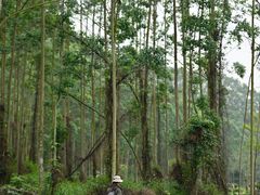 -英西峰林九重天景区