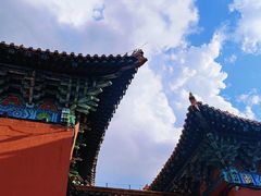 -北陵公园