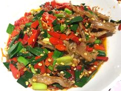 鸭掌筋-壹盏灯(惠农店)