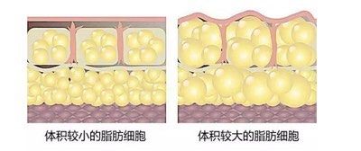 -成都军建医院·医疗整形