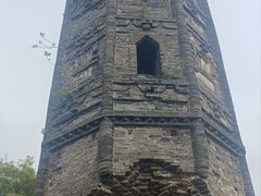 -上海佘山国家森林公园天马山园