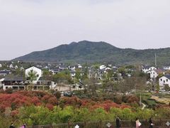 -石塘人家