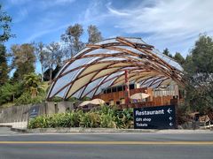 -怀托摩萤火虫洞