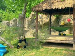 -上海野生动物园