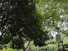 -孝子祠公园