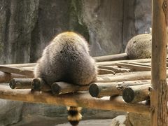 -杭州野生动物世界