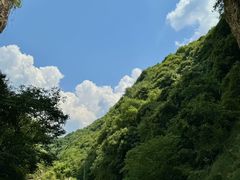 -少华山国家森林公园