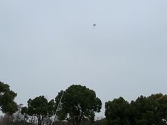 -上海滨江森林公园