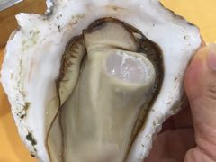 -蚝专家(北滘店)