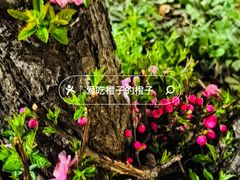 -北京理工大学(中关村校区)