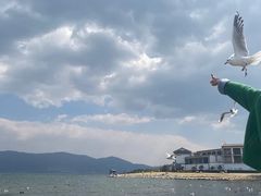 -大理洱海